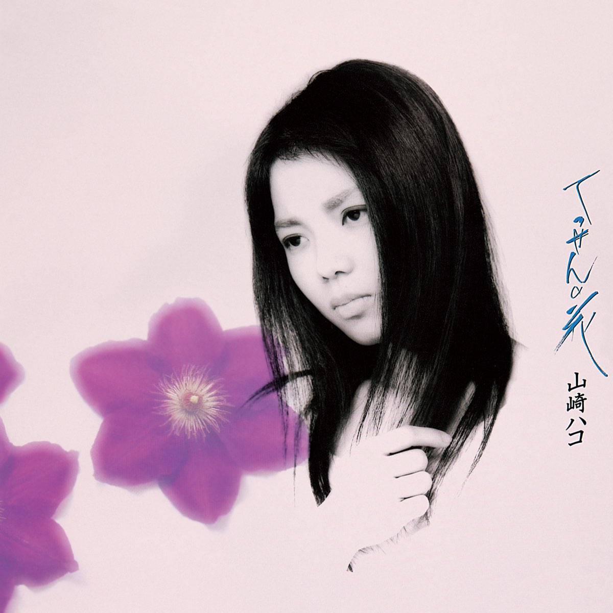 てっせんの花 album image